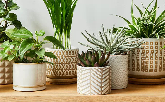 Decorative Garden Accents