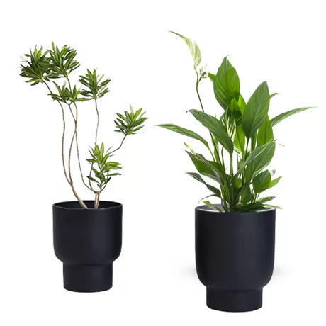 Metal Flower Pot FLP-506