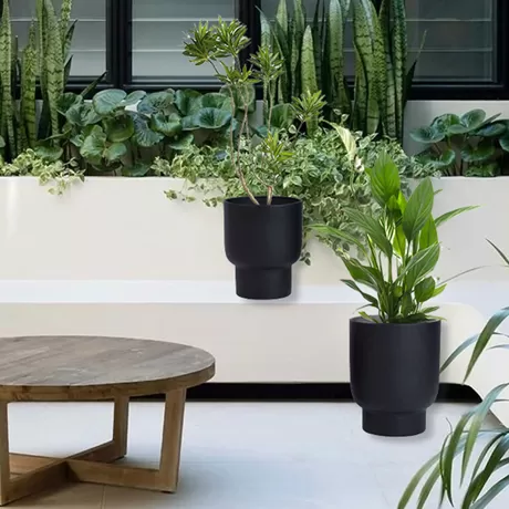 Metal Flower Pot FLP-506