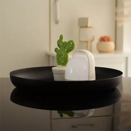 hld 9500 40 decoration tray 4