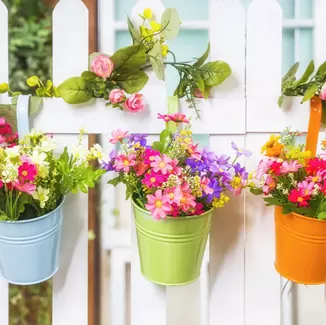 Flower Pot