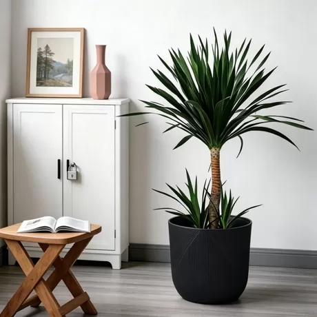 plastic flower pot flp 776 factory
