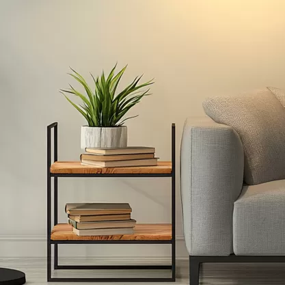 Modern Aesthetic