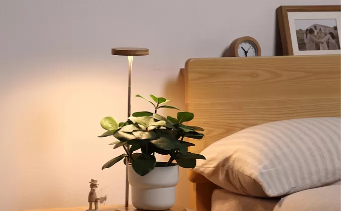 Stylish Indoor Planters