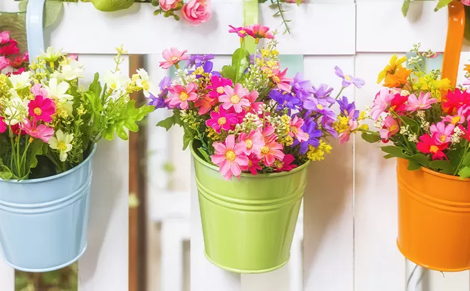 Vertical Gardening Solutions